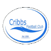 Logo Cribbs