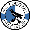 Logo CS Corvinul Hunedoara U19