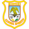 Logo CS Mioveni