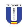 Logo CS Tricolorul Breaza