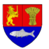 Logo CSJ Stiinta U Craiova U19