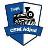 Logo CSM Adjud