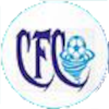 Logo Cyclone FC (W)