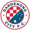 Logo Dandenong City U21