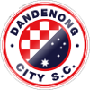 Logo Dandenong City U23