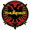 Logo Dandenong Thunder U21