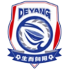 Logo Deyang Team