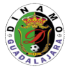 Logo Dinamo Guadalajara (W)