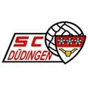 Logo Dudingen