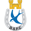 Logo Dungannon Swifts