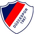 Logo Duzcespor