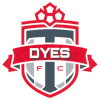 Logo DYES