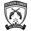 Logo Extension Gunners
