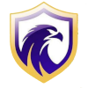 Logo Falcon FC SE Youth