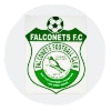 Logo Falconets FC (W)