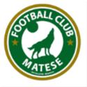 Logo FC Matese