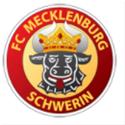 Logo FC Mecklenburg Schwerin