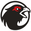 Logo FC Metso