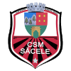 Logo FC Sacele