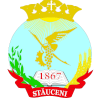 Logo FC Ursidos Stauceni