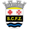 Logo Ferreira Zezere
