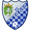 Logo Flacara Falesti