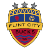 Logo Flint City AFC (W)