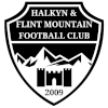 Logo Flint Mountain