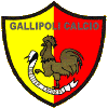 Logo Gallipoli