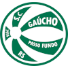 Logo Gaucho U20