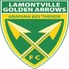 Logo Golden Arrows Reserves