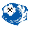 Logo Gornik Konin