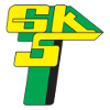 Logo Gornik Leczna