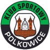Logo Gornik Polkowice