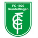 Logo Gundelfingen