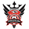 Logo Halcones Zuniga SC