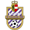 Logo Hallwang