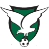 Logo Halswell United