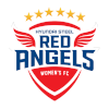 Logo Hyundai Steel Red Angels (W)