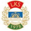 Logo Igloopol Debica