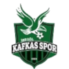 Logo Inegol Kafkasspor U19