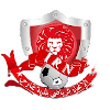 Logo IR Ngaous