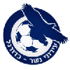 Logo Ironi Nesher U19