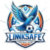 Logo Jinan Linksafe