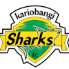 Logo Kariobangi Sharks