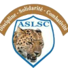 Logo Leopard St Camille
