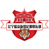 Logo Liaoning Shengjing Xinrui