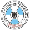 Logo Liga de Futbol de Tehuacan