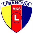 Logo Limanovia Limanowa