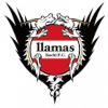 Logo Llamas Kochi FC
